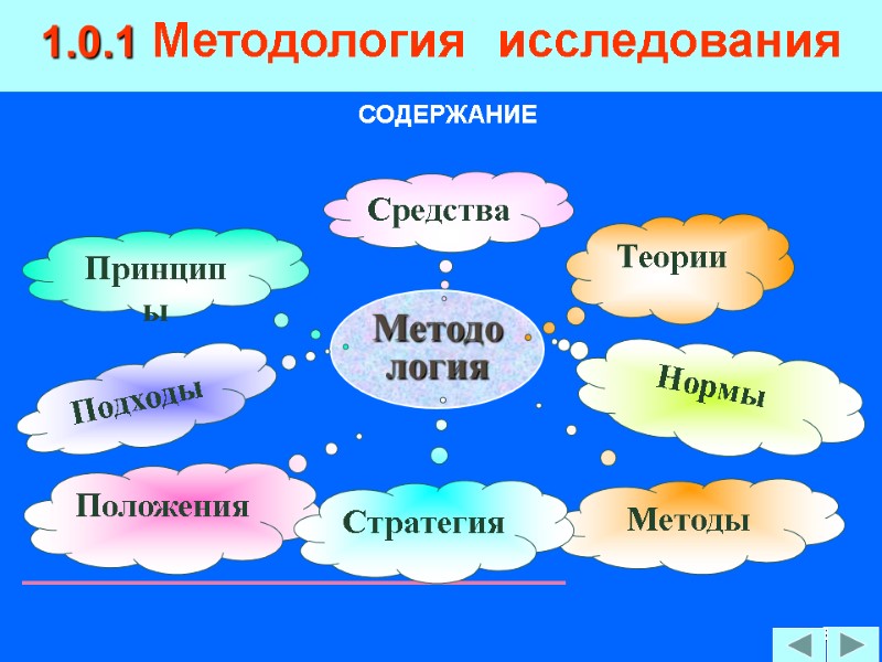 6 1.0.1 Методология  исследования СОДЕРЖАНИЕ